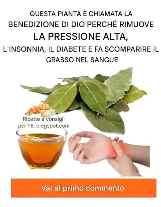 Tra le altre cose lalloro è molto utile per combattere