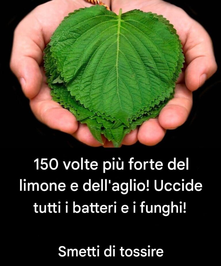 150 volte più forte del limone e dell’aglio! Uccide tutti i batteri e i funghi! Ferma la tosse