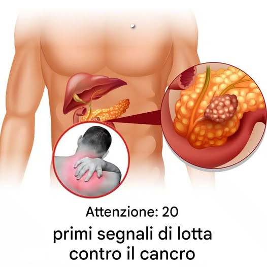 20 segnali di allarme precoce se il tuo corpo sta combattendo contro una malattia
