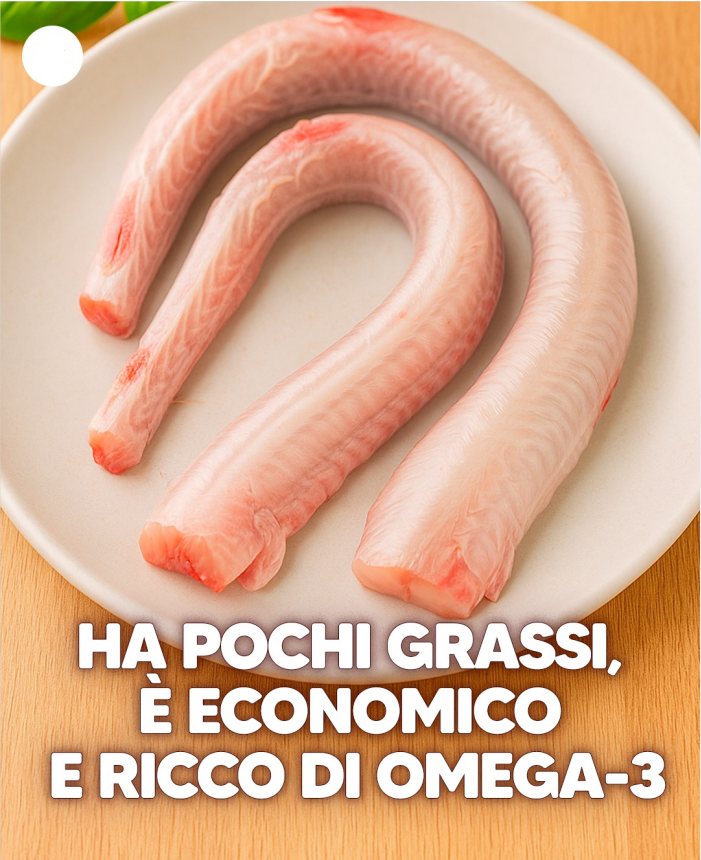 Gattuccio: com’è fatto e come usare in cucina il piccolo squalo del Mediterraneo